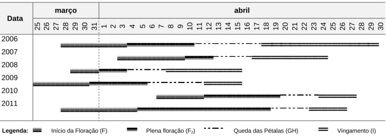 Figura 3 - Calendário da época de floração, queda de pétalas e vingamento dos clones de 2006  a 2011