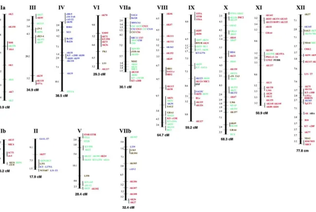 Figure  1.5 Genetic  linkage  maps for  the 14  chromosomes of  Toxoplasma gondii. Individual  markers  are  shown to the right of the vertical  bar and chromosome  numbers are given above each map