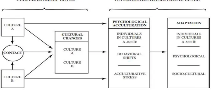 Figura 1. – Fatores grupais e individuais no processo de aculturação (Sam, 2006, p. 21) 