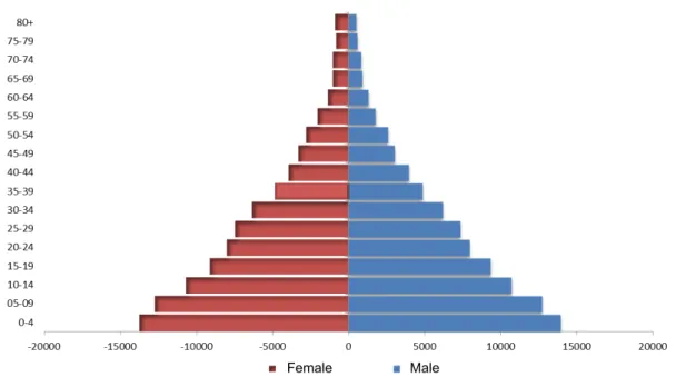 Figure  1.1-3  -  Age-sex  pyramid  of  Republic  Democratic  of  São  Tomé  and  Príncipe  (Instituto  Nacional de Estatística 2012)