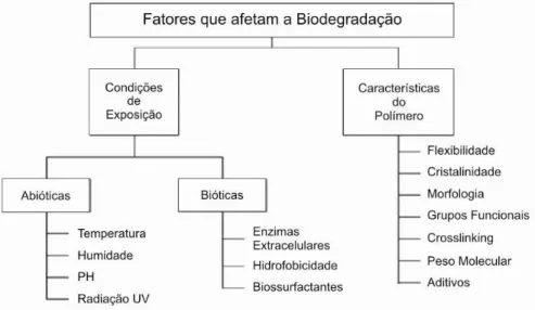 Figura 2 – Fatores que afetam a Biodegradação de Bioplásticos 