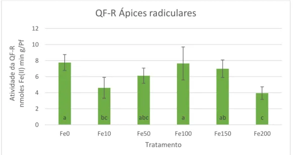 Gráfico 7 Atividade da enzima QF-R medida nos ápices radiculares 
