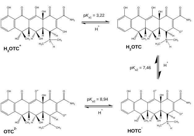 Figura 7: Especiação da OTC (adaptado de Jiao et al., 2008)