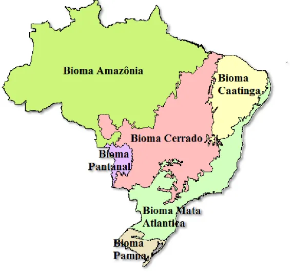 Figura 1 - Divisão esquemática por biomas brasileiros confeccionada por meio de parceria entre o IBGE – Instituto  Brasileiro de Geografia e Estatística e o MMA – Ministério do Meio Ambiente (Brasil, 2004)