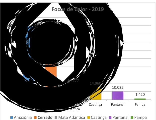 Figura 2 - Gráfico demonstrativo dos focos de calor por bioma brasileiro observados pelo Instituto Nacional de  Pesquisas Espaciais – INPE no intervalo de 01/01 a 31/12/2019