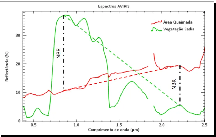 Figura 6 - Comparação entre os espectros eletromagnéticos de vegetação sadia (em verde) e queimada (em  vermelho) provenientes de dados do sensor AVIRIS