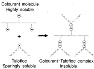 Figura 8- Modo de interação do Talofloc com as moléculas com cor.  