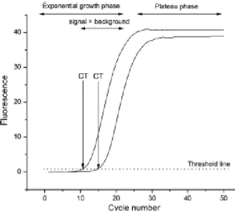 Figura 6  - Curva de Amplificação da reacção de PCR em Tempo Real (Kubista et al., 2006) 