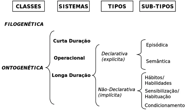 Figura 1 Classificação da memória. Adaptado de (7). 
