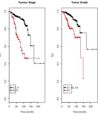 Figura 3: Curvas de KaplanMeier para as categorias das vari´ aveis estadio (tumour stage) e grau de diferencia¸ c˜ ao (tumour grade).