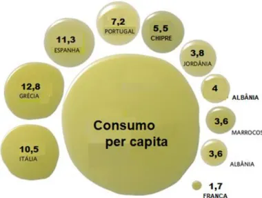 Figura 1.3 – Consumo de azeite  per capita  em 2014 (kg)  (adaptado de Oliveoilmarket, 2018) 