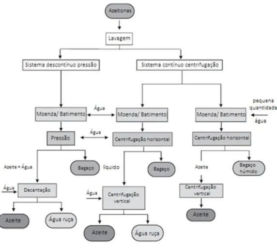 Figura 1.9 - Sistemas de extração do azeite (adaptado de Dermeche et al., 2013) 