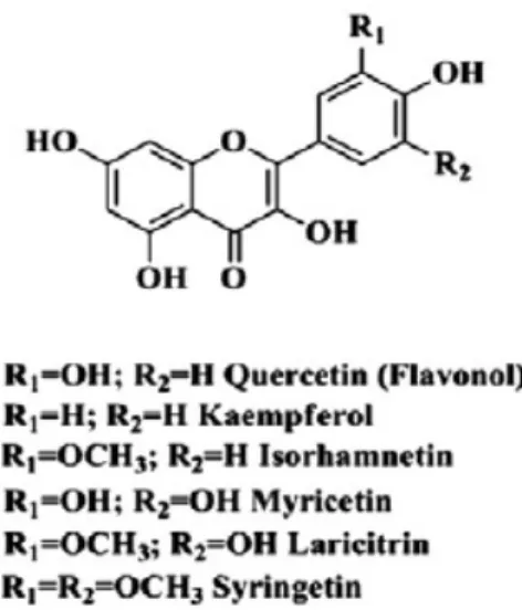 Figura 3: Fórmula da estrutura química dos flavonóis existentes na uva  Extraído de: Garrido &amp; Borges, 2013, p