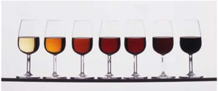 Figura 10: Diferentes categorias de Vinho do Porto. 