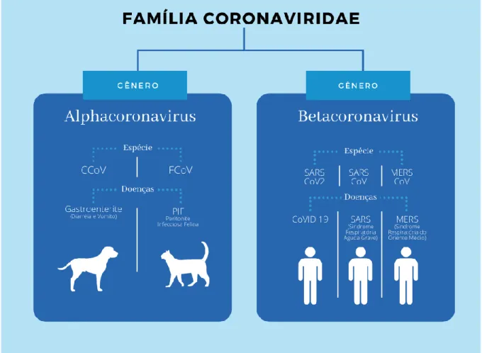 Figura 20:  Diferenças entre Gêneros e hospedeiros dos coronavírus. Os coronavírus dos  gêneros  Alphacoronavírus estão  mais associados a infecções em  animais domésticos