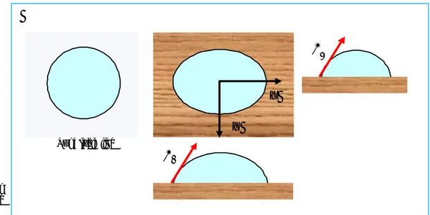 Fig. 2.6 – Anisotropia do  ângulo de contacto na  madeira.  θ y X Y θx Superfície lisa