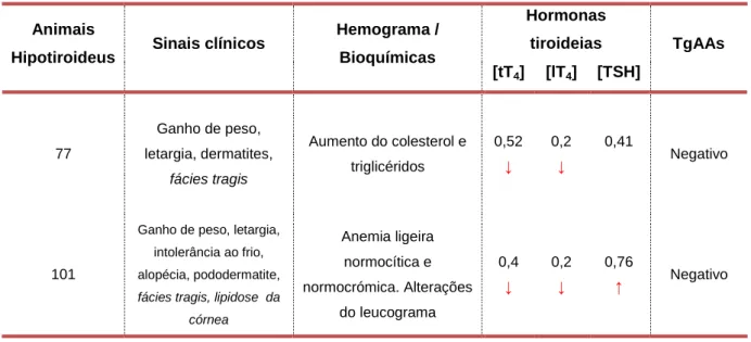 Tabela 4: Animais hipotiroideus e respetivos sinais clínicos, alterações do hemograma, concentração  de tT 4 , lT 4  e TSH e deteção de TgAAs 