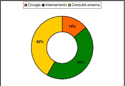 Gráfico 3. Distribuição dos casos observados na área de clínica e cirurgia. 