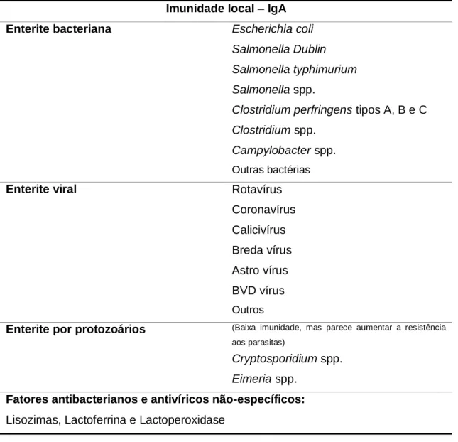 Tabela 3. Alguns agentes patogénicos para os quais o colostro pode providenciar alguma imunidade  local (adaptado de Andrews, 2004)