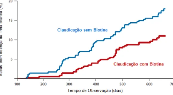 Gráfico  3  -  Efeito  da  suplementação  de  biotina  na  incidência  de  doença  da  linha  branca  (adaptado de Hedges et al, 2001 in Blowey, 2005)