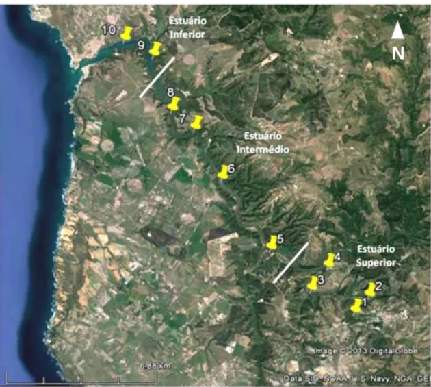 Figura 2. Estações de amostragem no estuário do Mira (1-10). Estação 1 - 37° 35.932'N;  8° 39.506'W; Estação 2- 37° 