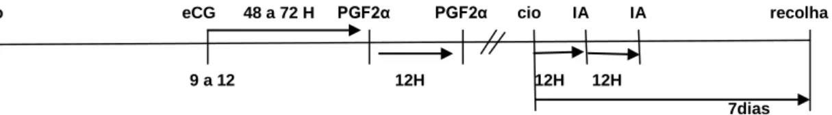 Figura 2: Esquema de TS padrão com utilização de eCG 