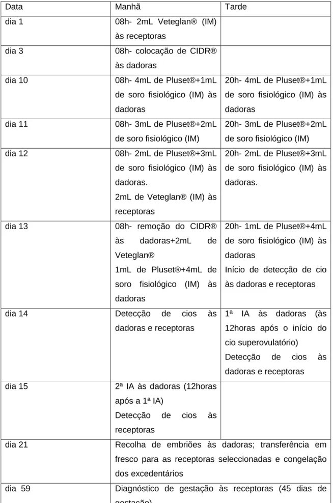 Tabela  6:  Calendário  de  ovulação  múltipla  na  novilha  dadora  e  de  sincronização  de  cios  das  receptoras (Fonte: Chagas e Silva (2010)/ Programa OMTE juvenil da ilha Graciosa)  