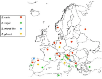 Figura 1 - Distribuição das espécies de Babesia sp. responsáveis pela  etiologia de Babesiose Canina na Europa, determinadas por análise molecular 