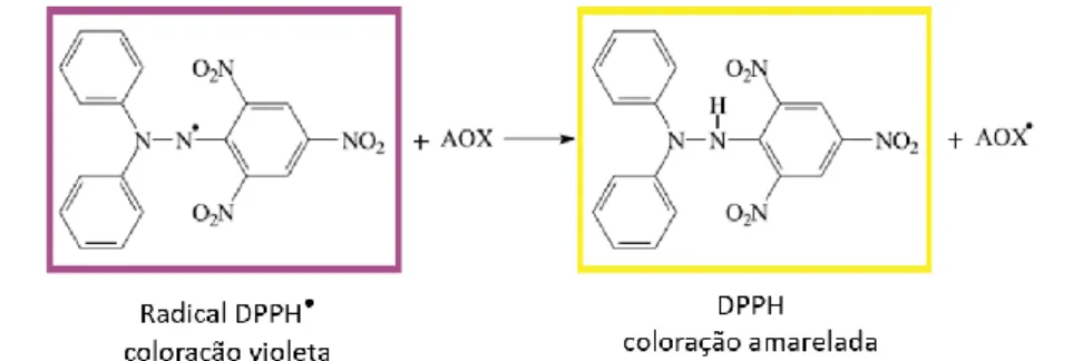 Figura  6:  Reação  química  envolvida  no  ensaio  de  medição  da  atividade  antioxidante  através  do  método  DPPH  -  ligação do eletrão desemparelhado do DPPH •  ao átomo de hidrogénio do composto antioxidante (AOX)