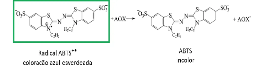 Figura 7: Reação química envolvida no ensaio de medição da atividade antioxidante através do método ABTS –  ação de neutralização do radical ABTS +•  pelo composto antioxidante (AOX)