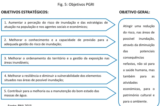 Fig. 5: Objetivos PGRI 