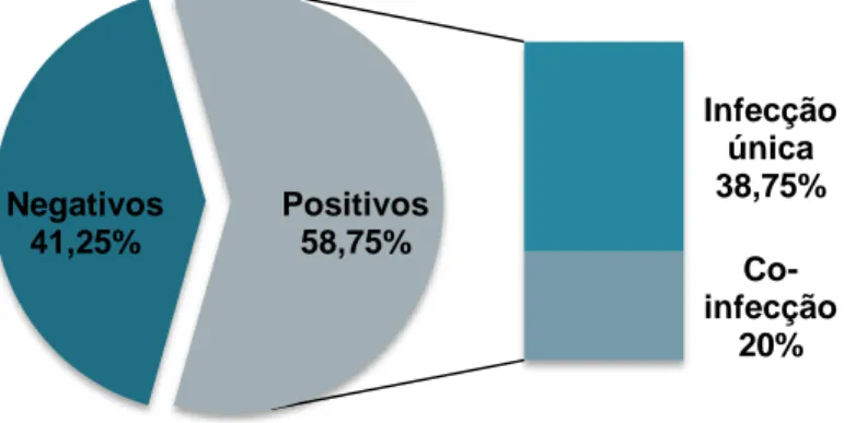 Gráfico 1- Proporção de positivos, negativos, infectados únicos e co-infectados (N=80) 