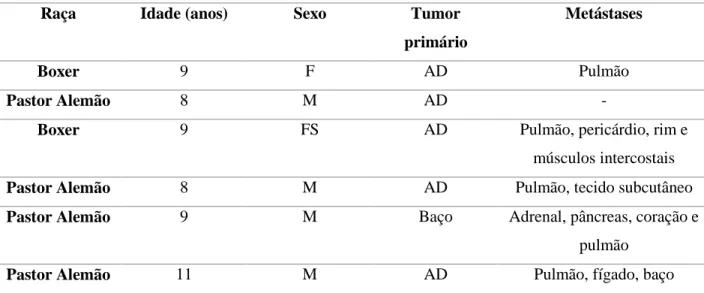 Tabela  9  -  Casos  de  HSA  canino  com  envolvimento  do  coração,  entre  1969-1979,  no  Colégio  de  Medicina Veterinária de Western (adaptado de Hirsch, Jacobsen &amp; Mills., 1981)