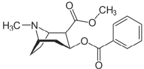 Figura 1 - Estrutura química da cocaína.  