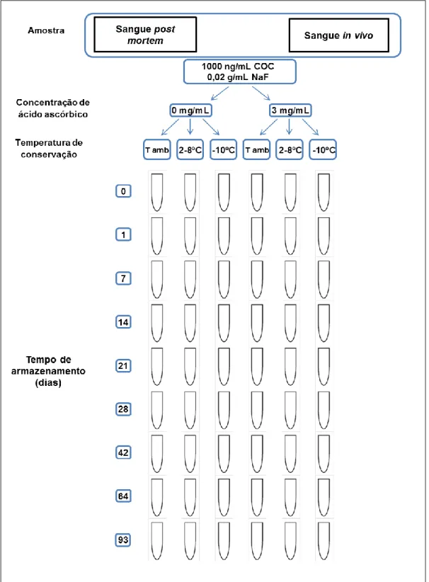 Figura 9 - Diagrama representativo do estudo do efeito do ácido ascórbico, temperatura e  tempo de armazenamento na estabilidade de cocaína