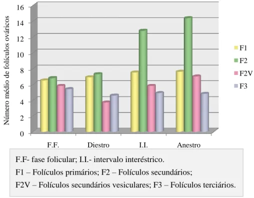 Gráfico 5: Distribuição dos diferentes tipos foliculares ao longo das fases do ciclo  éstrico