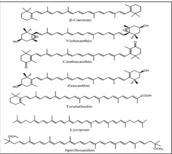 Figura 5. Estrutura molecular de alguns dos carotenóides mais comuns (Fonte: 