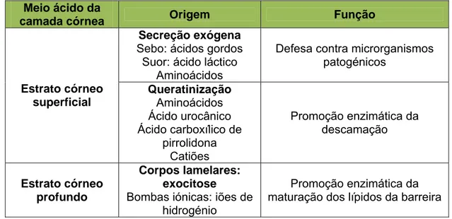 Tabela 3: Conceito alargado das componentes e funções do “manto ácido” da pele  (adaptado de Rippke et al., 2002)