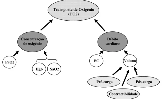 Figura 7. Diagrama esquemático dos factores que influenciam o transporte de oxigénio.  