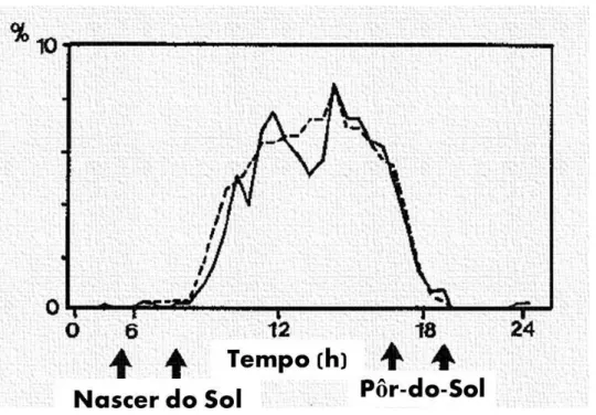 Gráfico 1. - Atividade circadiana do sacarrabos (adaptado de Palomares, 1992a) 