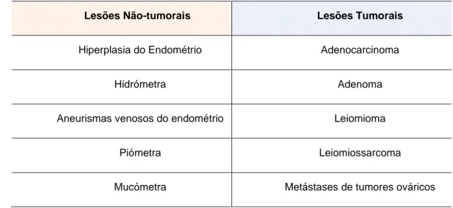 Tabela 5 - Doenças uterinas mais frequentes na coelha. Adaptado de Saito et al (2002)