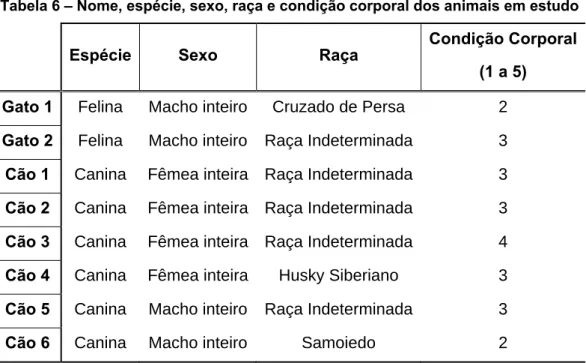 Tabela 6 – Nome, espécie, sexo, raça e condição corporal dos animais em estudo