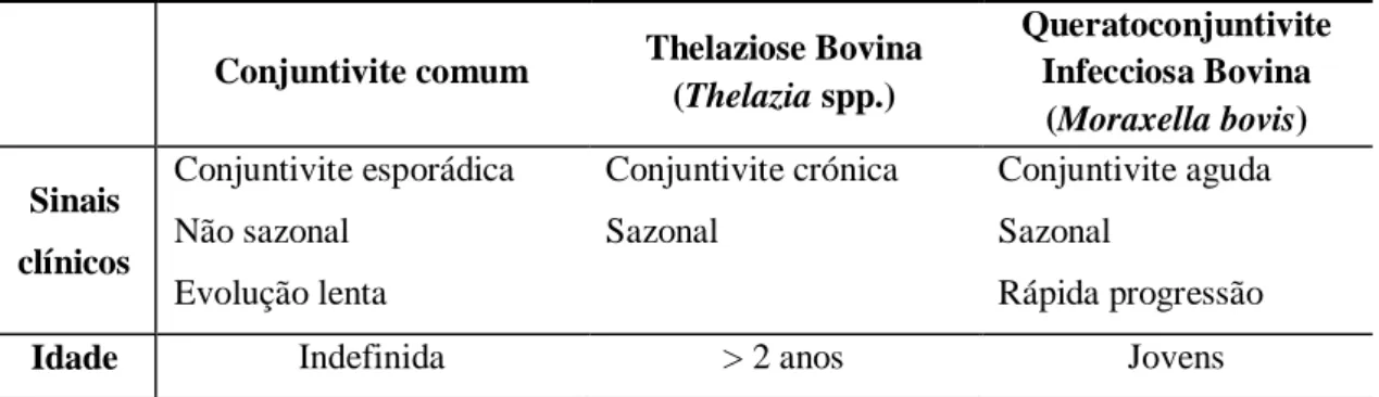 Tabela 7: Diagnóstico diferencial entre conjuntivite comum e conjuntivites devidas a Thelazia spp