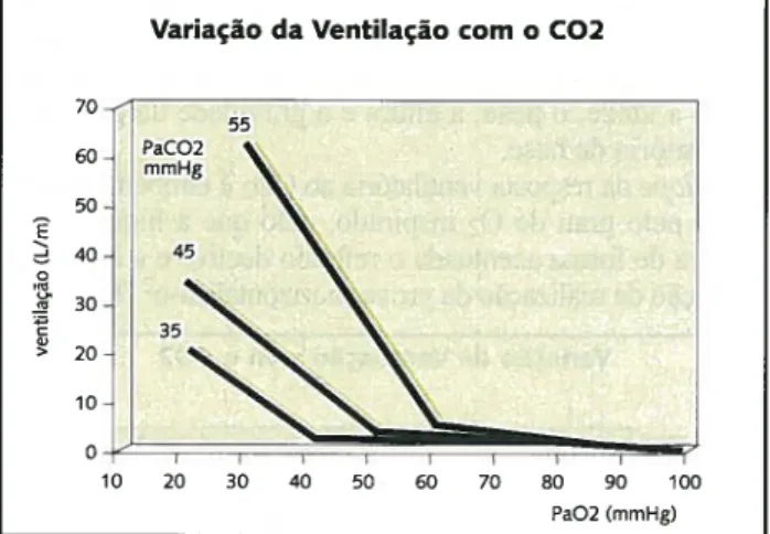Fig. 5 Curva de variação da ventilação com o estímulo hipóxico Se não se mantiver constante a PCO2 quando se sub meter o doente ao estímulo hipóxico, a resposta ventila tória é atenuada devido à hipocápnia secundária ao acrés cimo ventilatório.