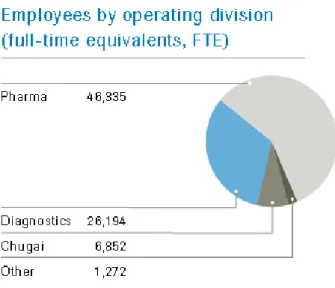 Figura 3 – Funcionários por divisão operacional 