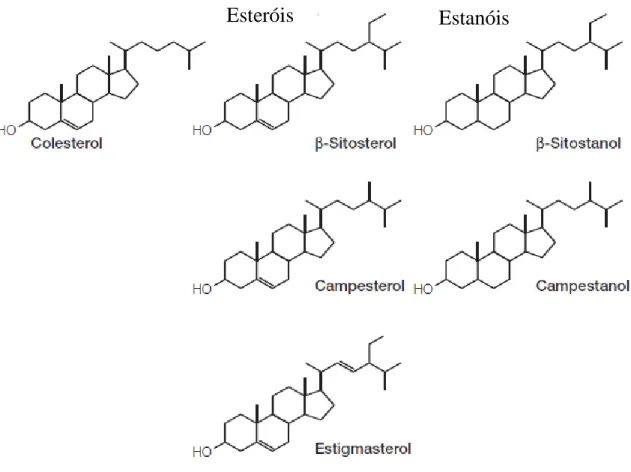 Figura 1. Estrutura do colesterol e dos fitoesteróis (adaptado de Ostlund 2002) 