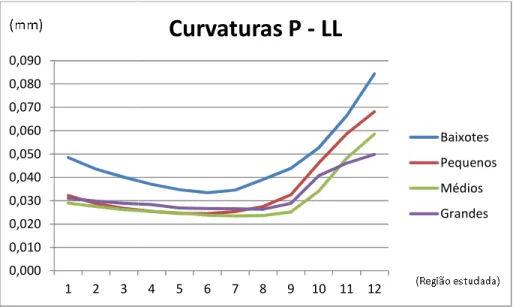 Gráfico 4 - Representação da evolução da 