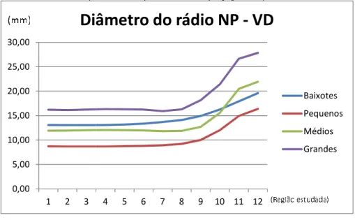 Gráfico 6 - Representação da evolução  (médias 0,002,004,006,008,0010,0012,0014,0016,0018,0020,00123 Diâmetro do rádio NP  0,005,0010,0015,0020,0025,0030,00 1 2 3 Diâmetro do rádio NP 