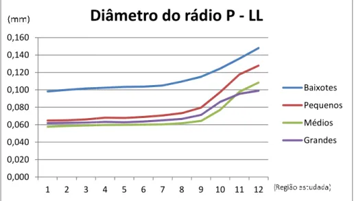 Gráfico 8 - Representação da evolução do diâmetro do rádio ao l