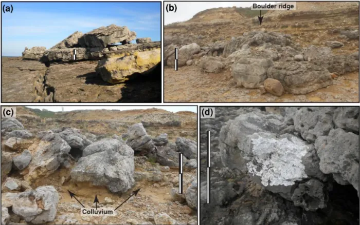 Figure S3: (a) 10-20ton boulders leaning against a bench edge; (b) Boulder ridge; (c)  colluvium deposit developing around and partly covering boulders; (d) boulder colonized 